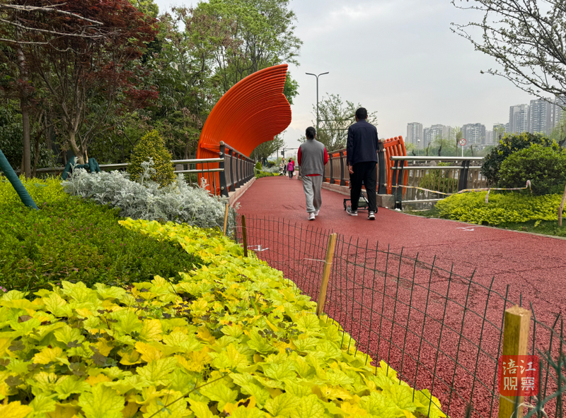 QQ截图20240411155608.png